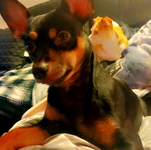 Meet your Posher, Nichole - Picture 2 of 3